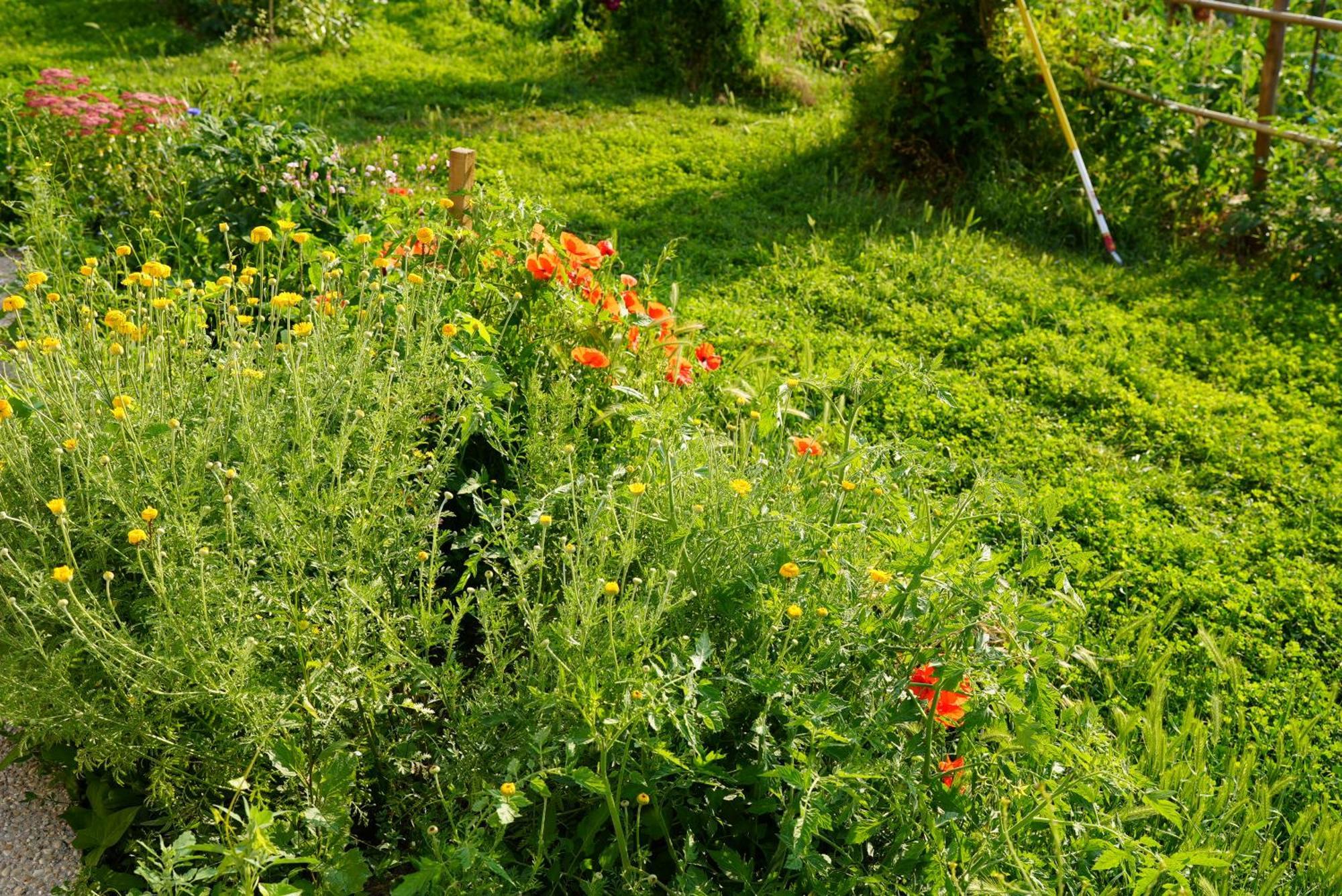 Willa Les Jardins De Felicie Poses Zewnętrze zdjęcie