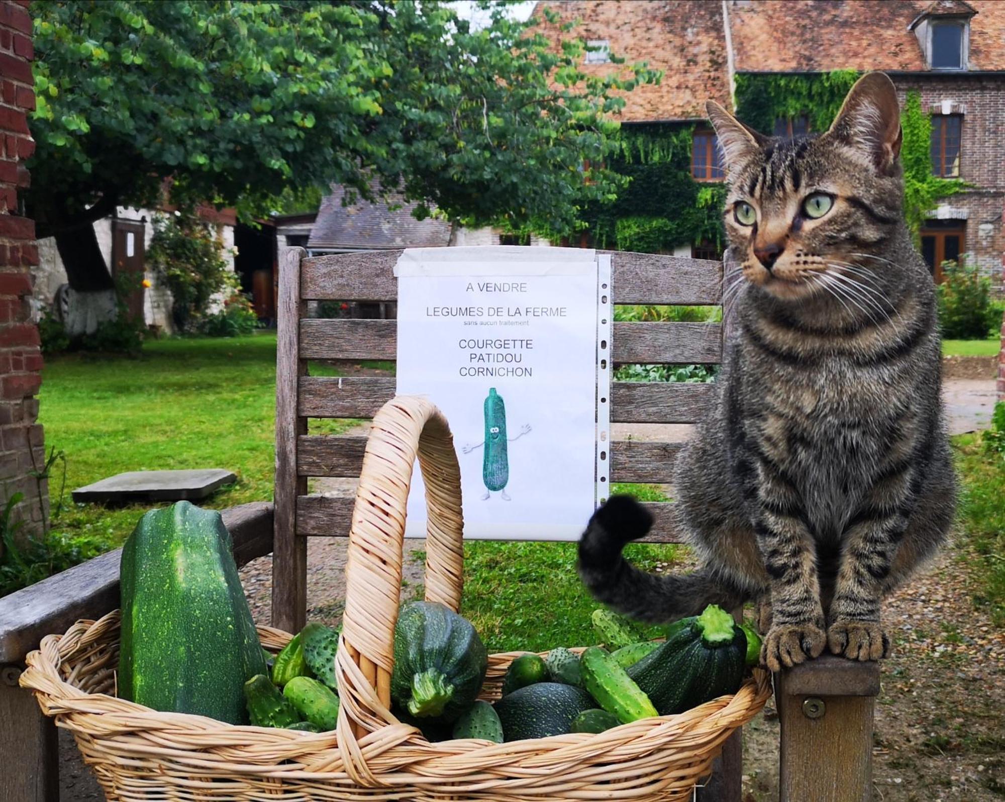 Willa Les Jardins De Felicie Poses Zewnętrze zdjęcie