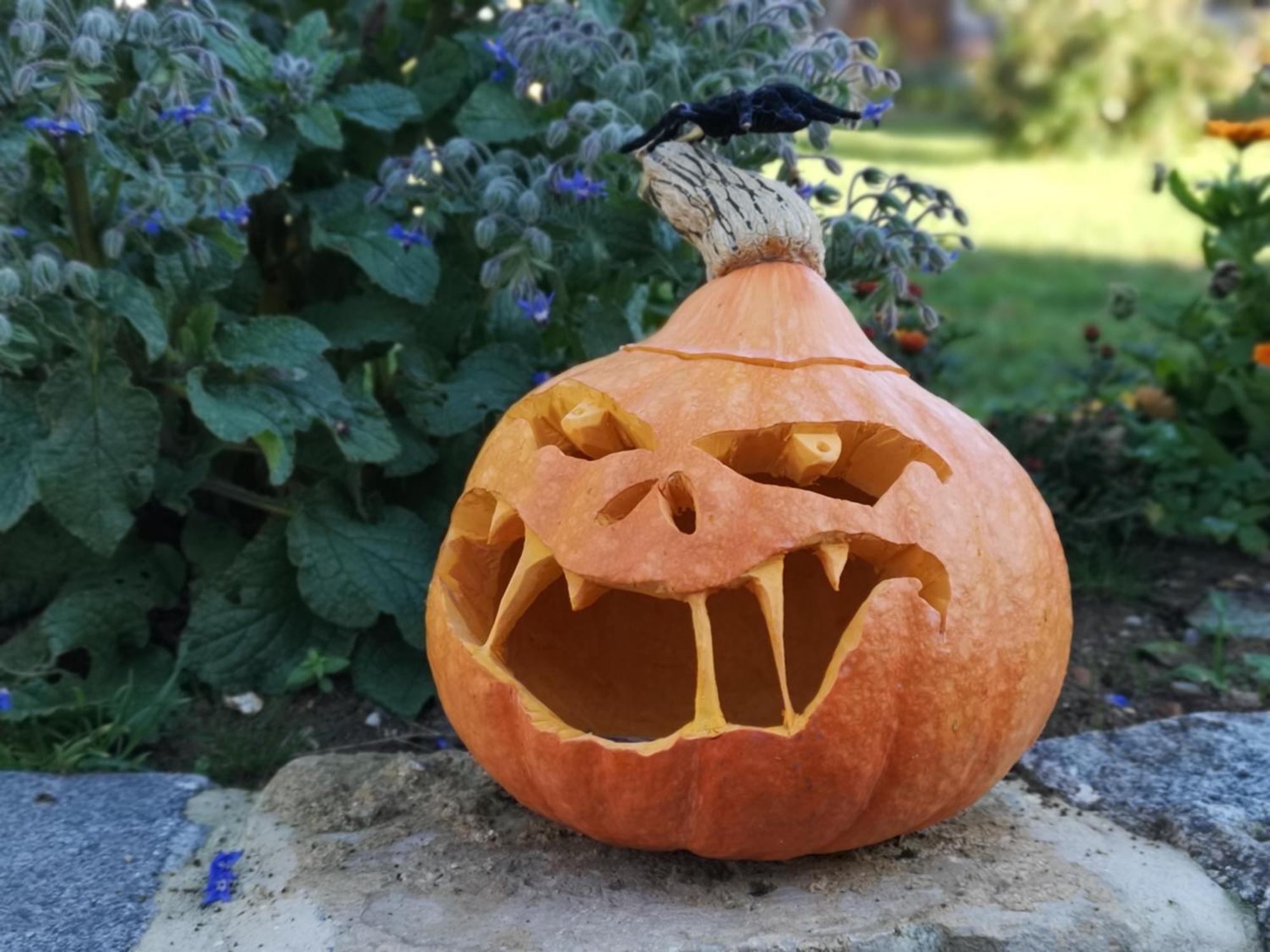 Willa Les Jardins De Felicie Poses Zewnętrze zdjęcie